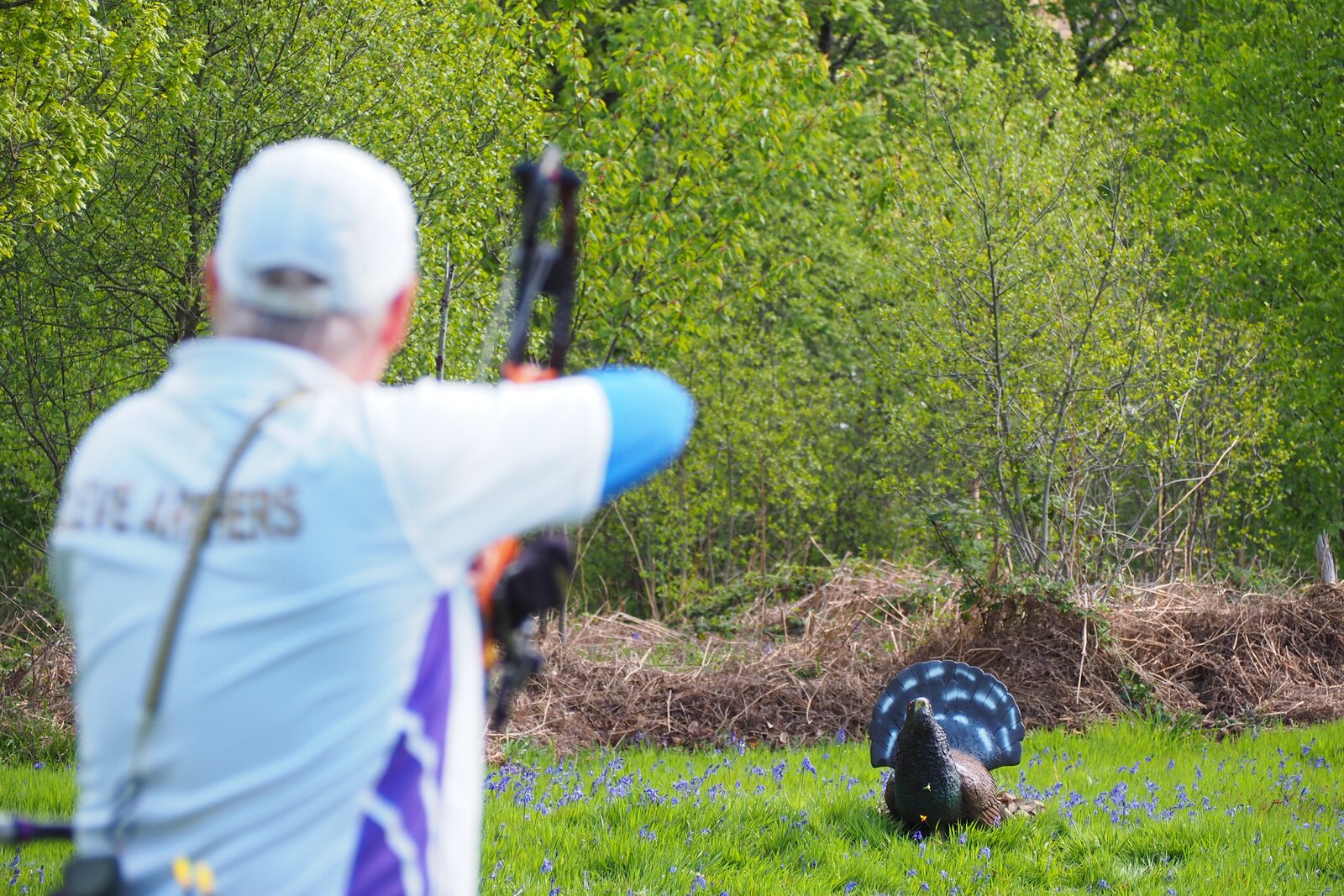 Archery GB UK 3D Championships